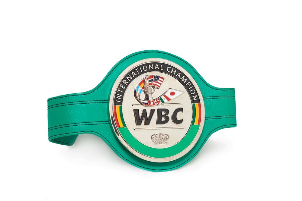 57º Conselho Mundial de Boxe