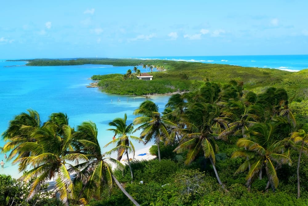 Contoy Island Tour