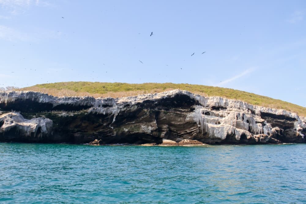 Cliff of Isabel Island, Nayarit