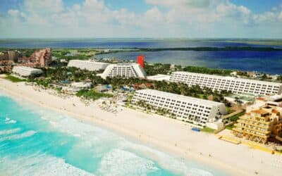 2017 the year to visit Oasis