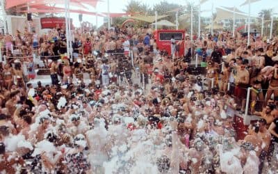 What kind of spring breaker are you?
